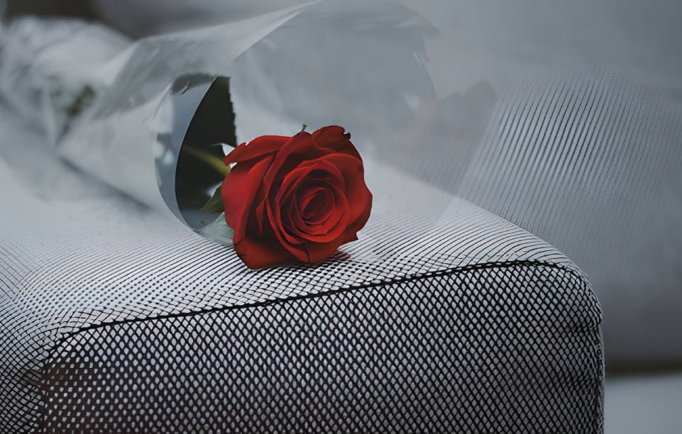 fabgard-rose-on-couch