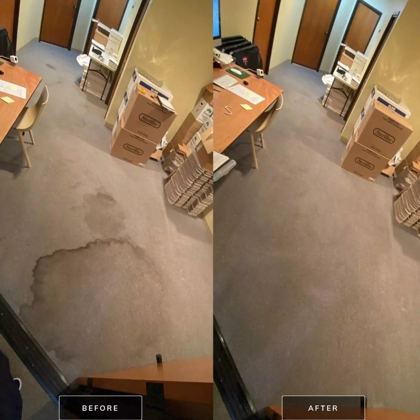 carpet-cleaning-before-after