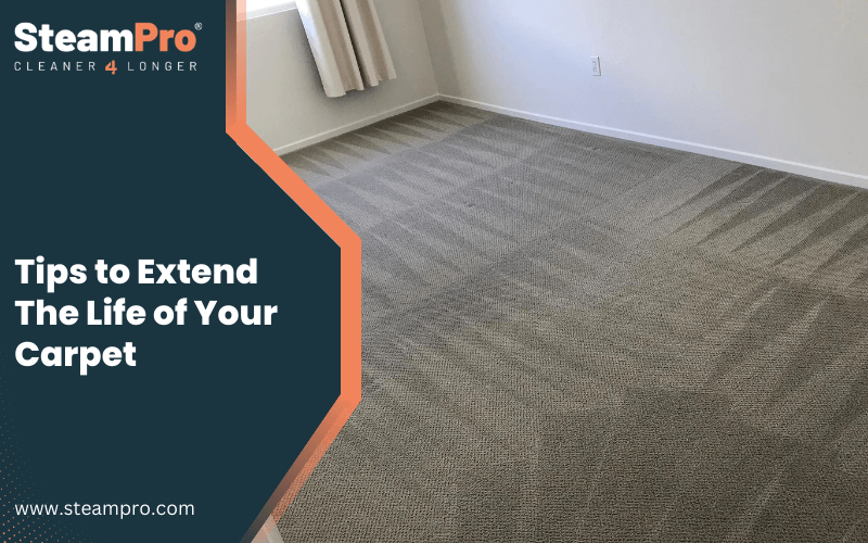 Tips to Extend The Life of Your Carpet