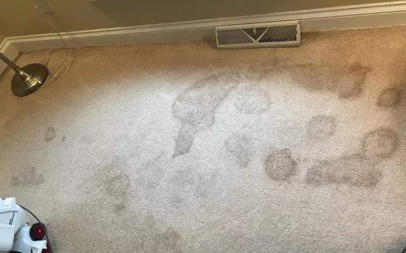 How to Remove Brown Spots from the Carpet?
