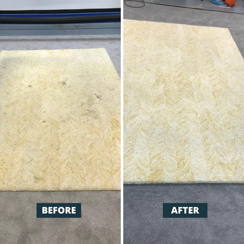 rug-cleaninf-before-after-3