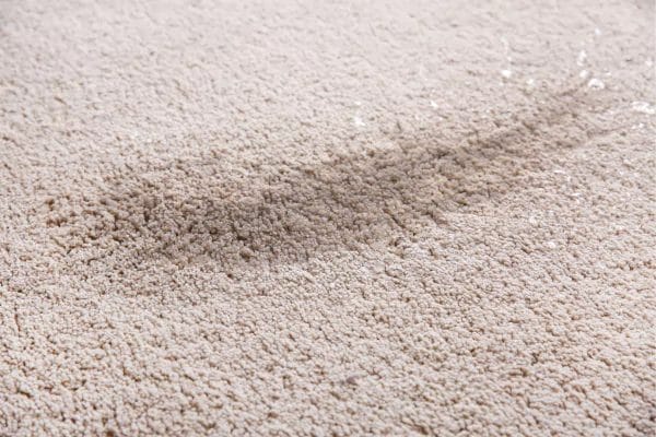 What Are The Causes Of Carpet Browning