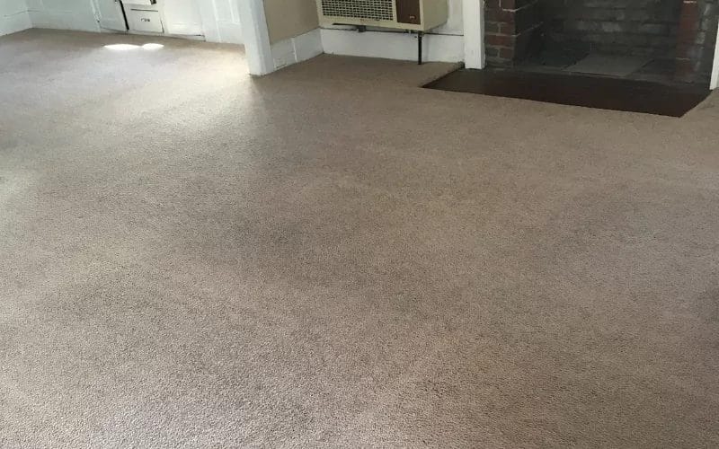 How to Revive Carpets in High-Traffic Areas
