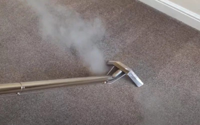 How to Steam Clean Your Carpet the Right Way?