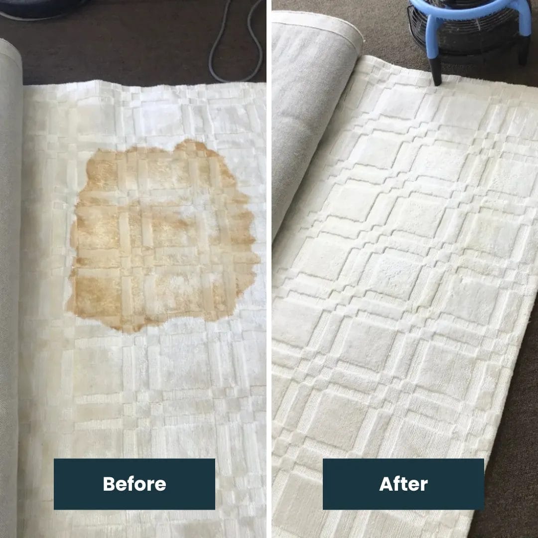 Before & After Rug Cleaning (1)