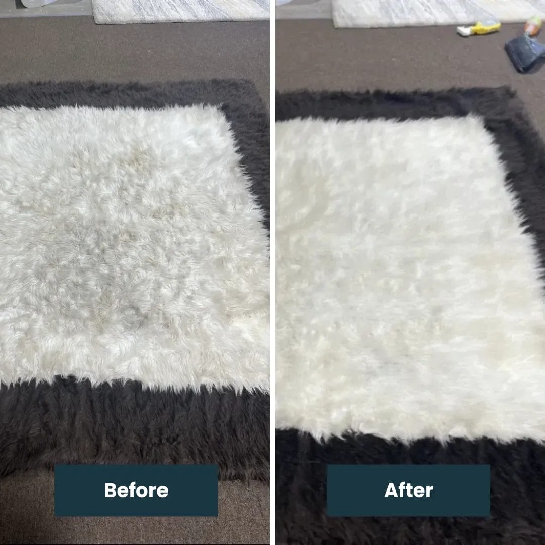 Before & After Rug Cleaning (3)