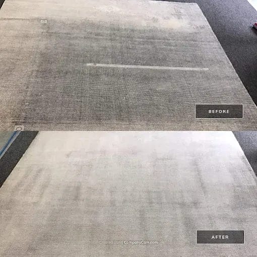 Rug Cleaning service (6)